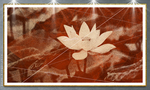底纹