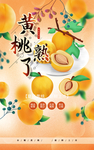 黄桃熟了 肖