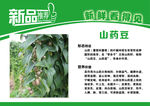 山药豆简介