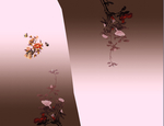 过渡花