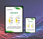 眼结构图