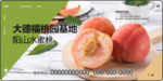 水蜜桃海报户外展示