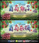 葡萄熟了葡萄采摘展板海报