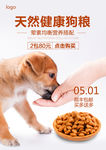 狗粮海报