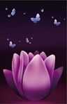花背景