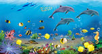 海洋生物