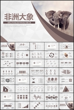 非洲大象PPT模板