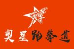 奥星跆拳道LOGO