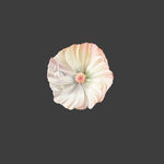 手绘花