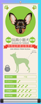 玩具小猎犬