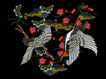 白鹤