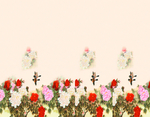 花鸟