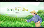茶叶海报
