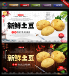 马铃薯