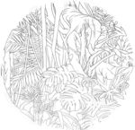 草本植物线描