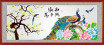 孔雀