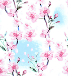手绘花 桃花