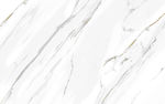 高端 高雅鱼肚白 TIF合层