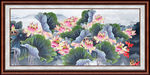 荷花