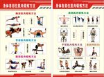 健身房宣传栏健身方法