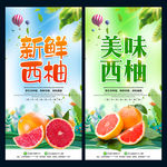 西柚