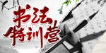 书法特训营
