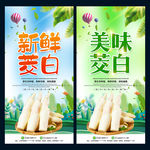 茭白