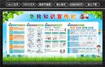 急救知识宣传栏 新
