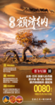 邂逅额济纳胡杨林