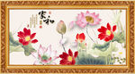 国画荷花