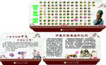 中医院版面