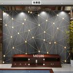 3D立体 星座 线条梦幻 意境