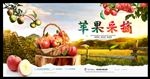 苹果
