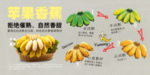 苹果香蕉色卡