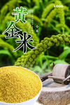 小米海报