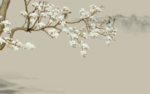 花鸟工笔