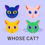 波普猫