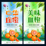 血橙