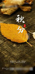 秋分