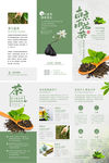 花茶三折页