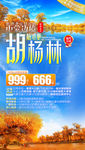 胡杨旅游海报 额济纳旗海报
