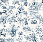 猴子狮子动物花