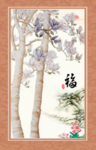 玉兰花