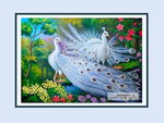 孔雀 国画孔雀 孔雀油画