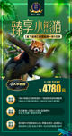 云南西双版纳旅游海报小熊猫