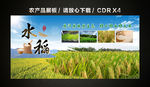 绿色农产品 花生五谷杂粮水稻