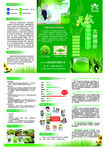晟麦源 大麦若叶 青汁