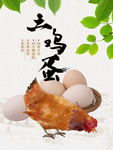 土鸡蛋