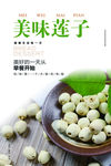 莲子海报