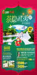 福建新年旅游海报
